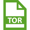 Torrent file